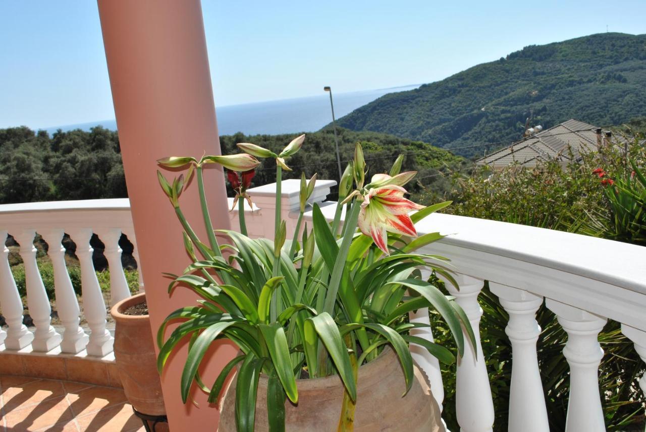 Ferienwohnung Amaryllis House Parga Exterior foto