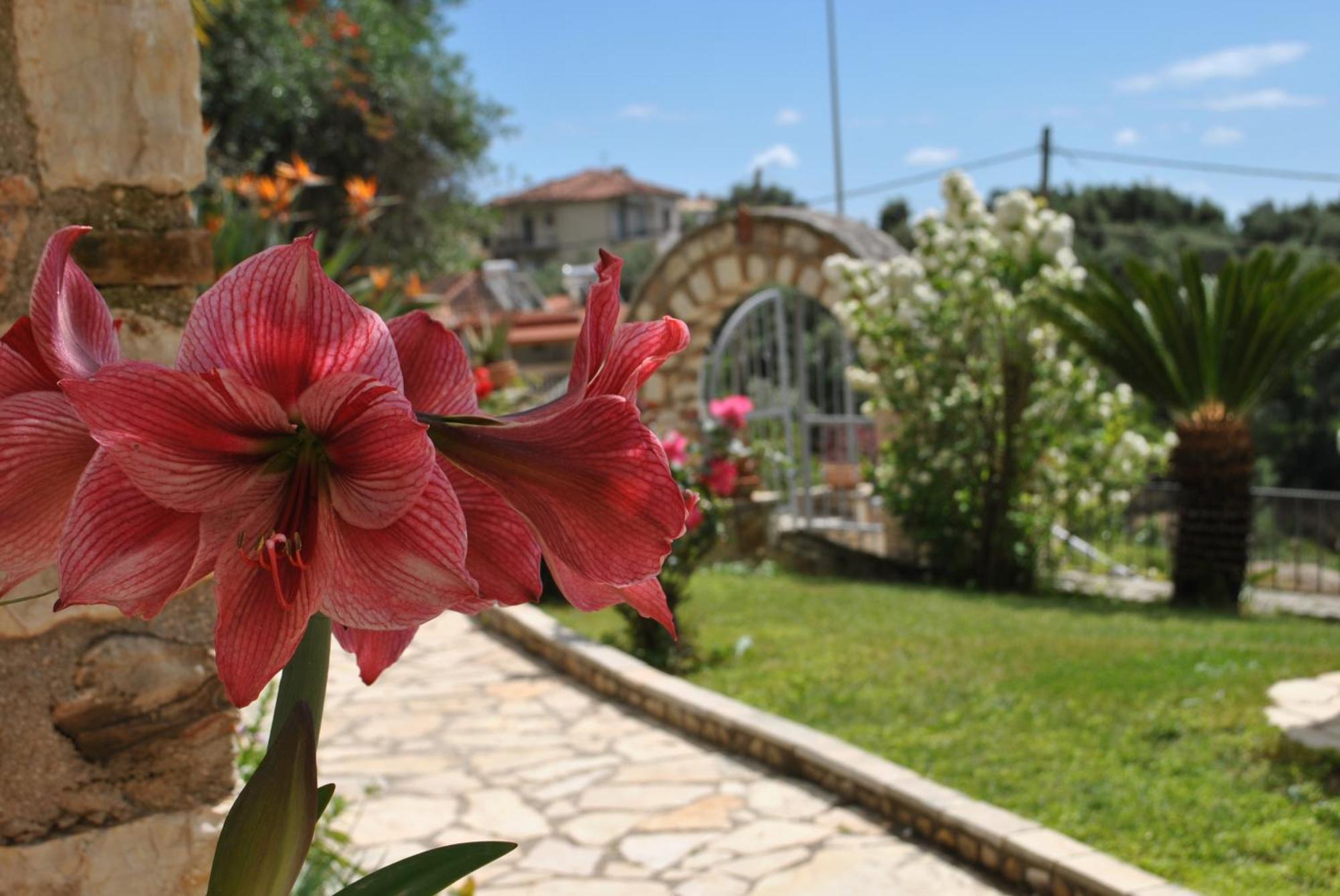 Ferienwohnung Amaryllis House Parga Exterior foto